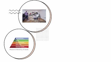 Monash Global Discovery Program New York City 2025  #MonashDiscovery