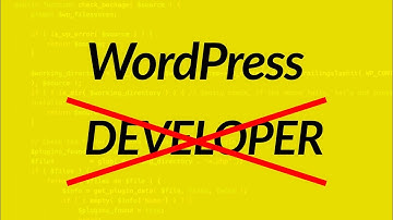 Are WordPress Developers REAL Developers?