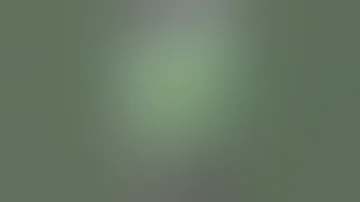 زراعة المخدرات 