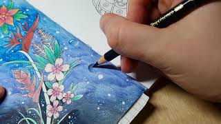 Celebrity Magical Jungle - adding bubbles to a background (coloured pencils) Net Worth