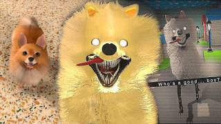 La mise à jour des salles de classe a ajouté un CHIEN SUPER SAIYAN... screenshot 1