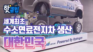 세계 최초 수소연료전지 자동차를 양산한 국가 [핫클립] / YTN 사이언스