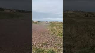 Brapppp Brapppp On A Ktm 85cc  Showing Next Generation Out To Hit A Power Band 