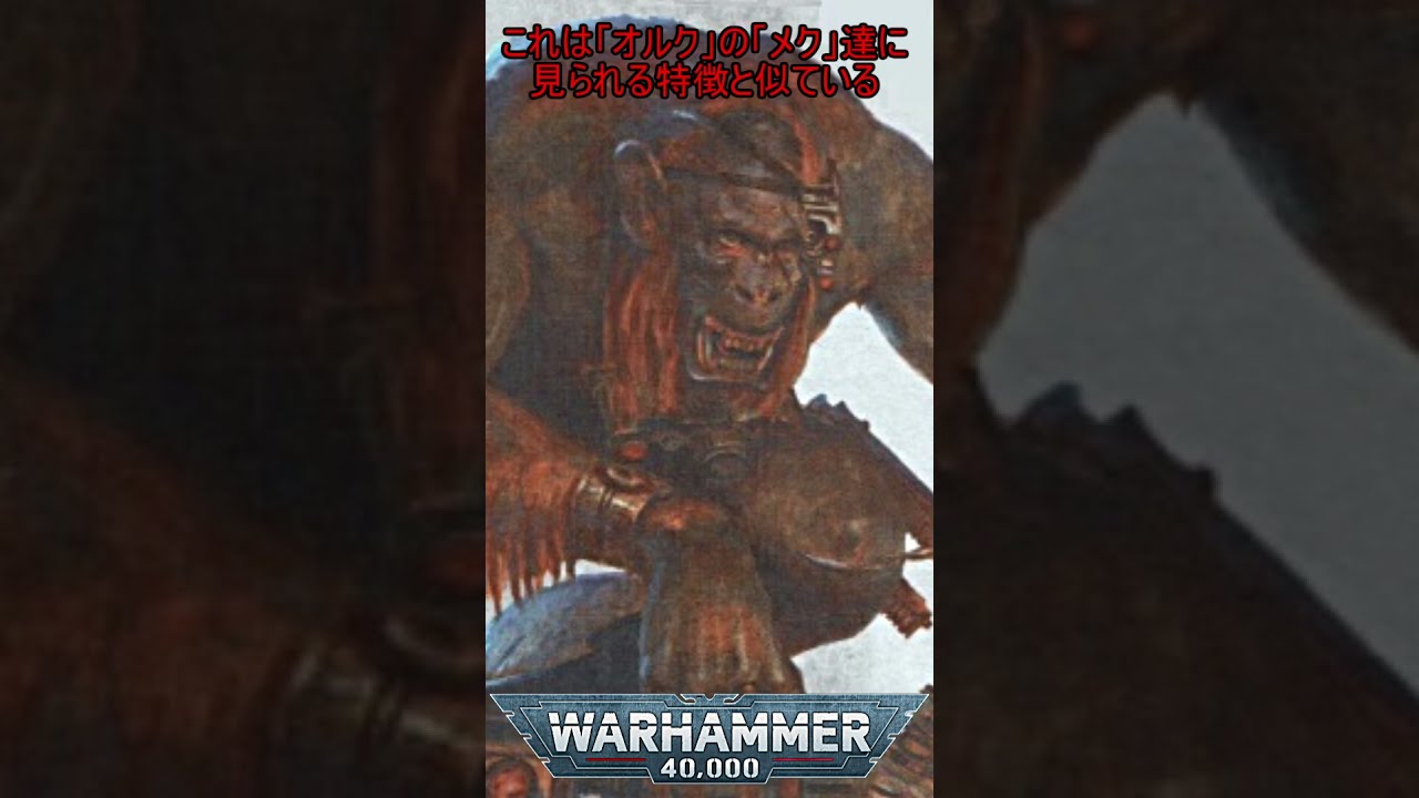 Mysterious item explanation for Warhammer 40k #5 It's not a