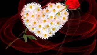 Hazırlayan Türkoglu Yollar Hasta Ben Yorgunum.