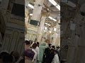 زائر الروضه لا تنسى .. تبليغ سلامى للنبى العدنان 🙏