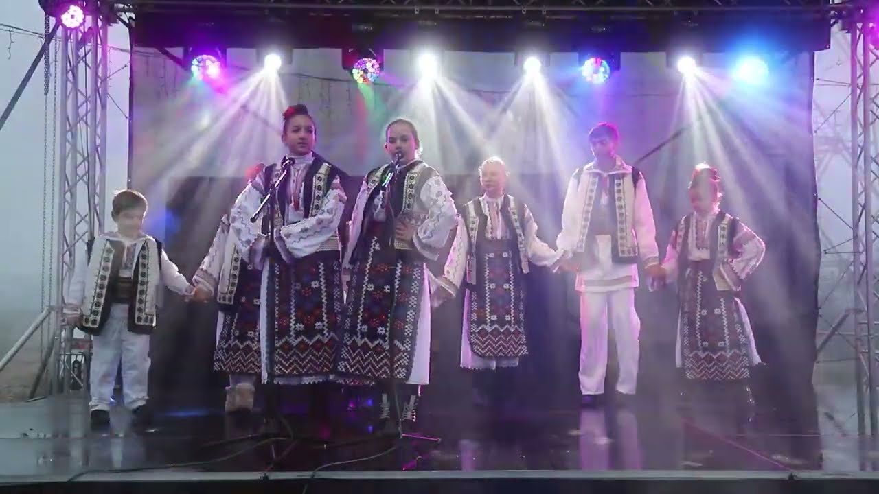 Targul de Craciun Smardan  Editia II (ziua 2)