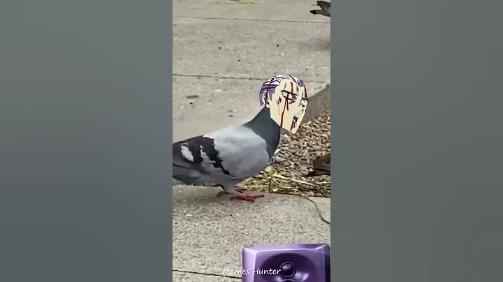 JoJo's DJ Pigeons Adventure - DayDayNews