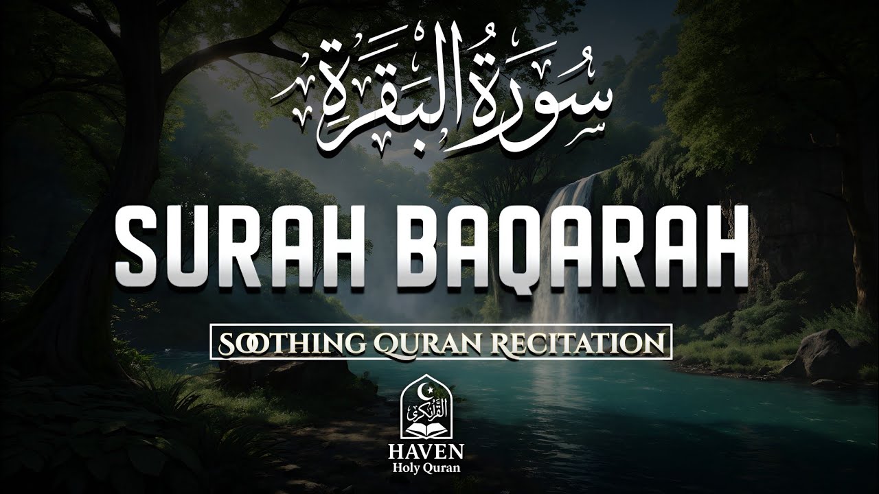 Surah Al-Baqarah (سورة البقرة) | Powerful Quran Recitation for Protection & Barakah |