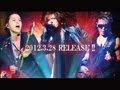 BREAKERZ LIVE 2011 &quot;WISH 03&quot;+&quot;GO&quot; PREMIUM BOX ダイジェスト