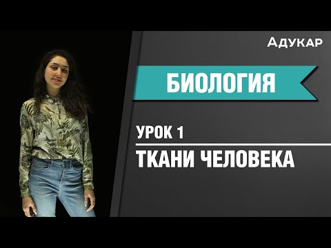 Ткани человека | Биология ЕГЭ, ЦТ