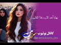 موسیقی بهار آمد گل رعنا کجایی موسیقی بهار آمد گل رعنا کجایی
