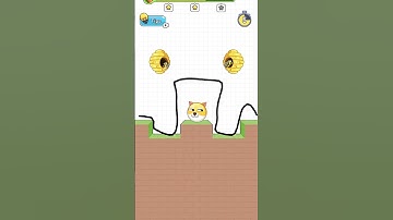 draw line save the dog level 3 #game #youtube #shorts