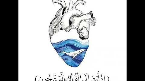 صوت شجي ياخدك الى عالم تاني #قران كريم