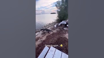 #aiemotion #aestheticvideo #aiexpress #aistyle #aistorycraft #aistudio #aiinfused #vb #aivideostyle