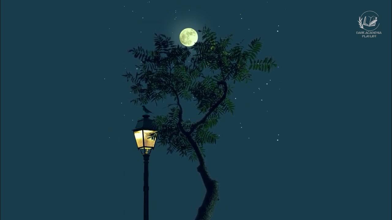 ( a playlist ) a late night comfort romanticizing studying playlist