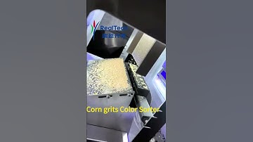 Corn Grits Color Sorter#machine #factory