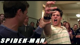 Питер Паркер дерётся с Флэшем.Человек-паук 2002г.\Peter Parker fights with Flash. Spider-man 2002.