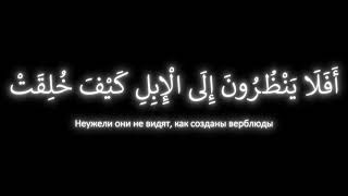 Сура Гашийа , чтец Умар Сильдинский