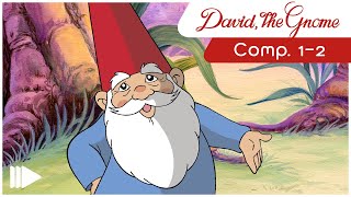 David, the Gnome - 1-2 | Full Episodes | Compilations