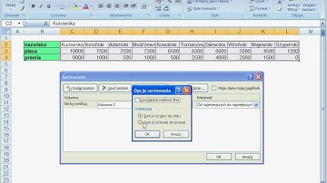 Sortowanie - Excel 2007 - ExcelSzkolenie.pl