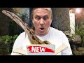 UNBOXING A BIG MOTLEY BOA CONSTRICTOR!! NEW ADDITION TO THE ZOO!! | BRIAN BARCZYK