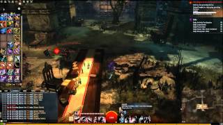 GW2: AC P1 Burrow Event Solo - Thief