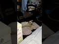 Jrt Toto ep. 038