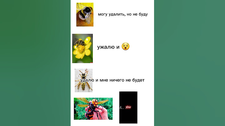 #шмель #пчела #оса #шершень