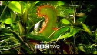 Bbc2 Predator Ident 2000