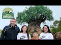 บรีแอนน่าพาเที่ยวอาณาจักรสัตว์ที่ดิสนีย์ สุดอลังการ Animal Kingdom ที่ Disney World ฟลอริด้า EP 1