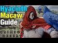 How to Get New HYACINTH MACAW Legendary Bird Location in Crimson Desert