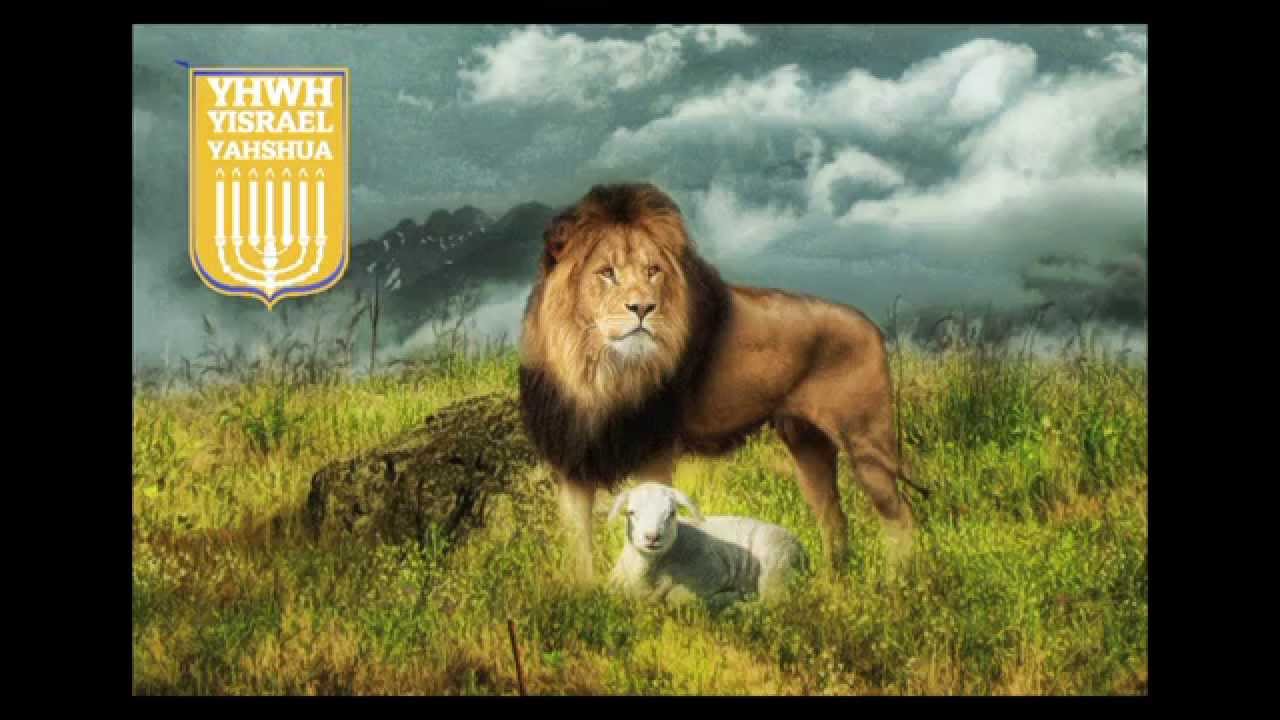 Davidic Kingdom HD 720p