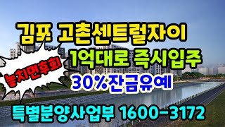 김포고촌센트럴자이 마곡10분 김포 미분양아파트 즉시입주 선착순 특별분양사업부 1600-3172