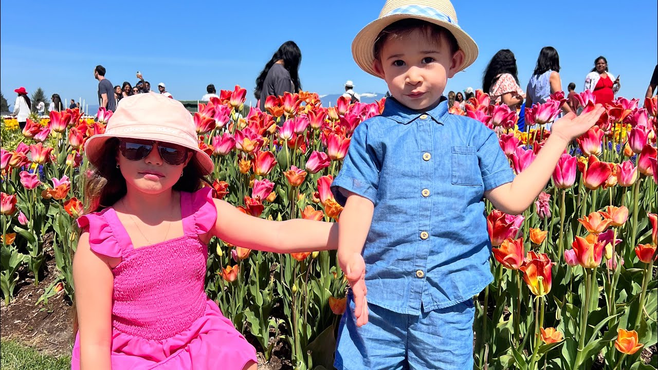 Going to Mt Vernon For Tulips Festival YouTube