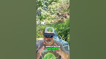 Start an Online Business: Beginner