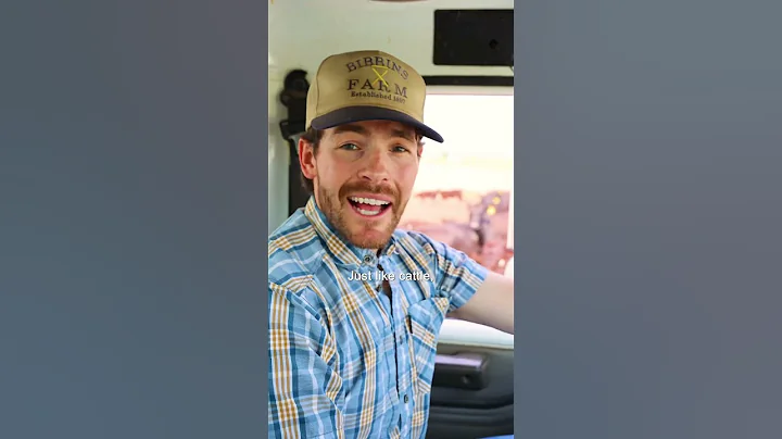 3 Reasons Why We Raise Beef 🥩 #cows #beef #family #farm - DayDayNews