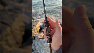 Xesta Black Star Full Automatic Solid S74-S - первой генерации! 2.24м 0.2-10гр