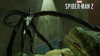 Classic Black Suit Spider-Man vs Lizard - Marvel's Spider-Man 2 (4K 60FPS)