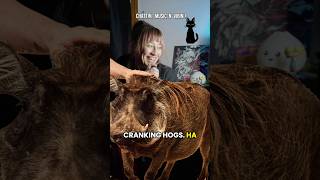 My first hog cranking 🐗😆 #bilmuri #humor #altrock