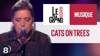 Video thumbnail of "Cats On Trees - Love You Like A Love Song (Live @ Le Grand 8)"