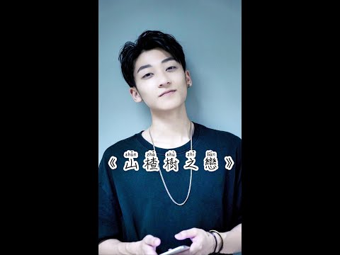 程佳佳《山楂樹之戀》Cover Mickey 黃志恒【抖音】說什麼好，念什麼糟，行如此情，卻無從知曉 戲腔小哥哥