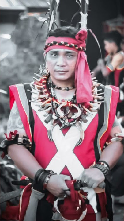 story wa dayak