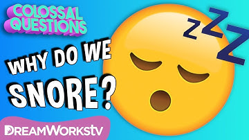 💤Why Do We Snore? | COLOSSAL QUESTIONS
