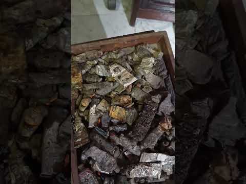 متحف محمود سعيد والفن التشكيلي