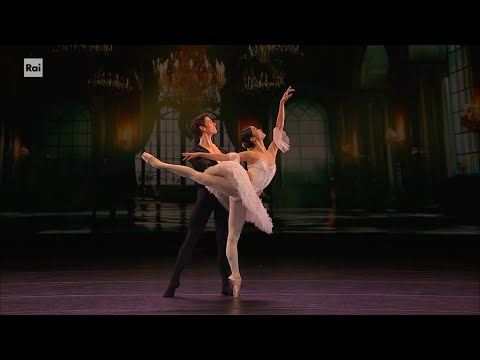 The Dying Swan – Natalia Osipova (The Royal Ballet)