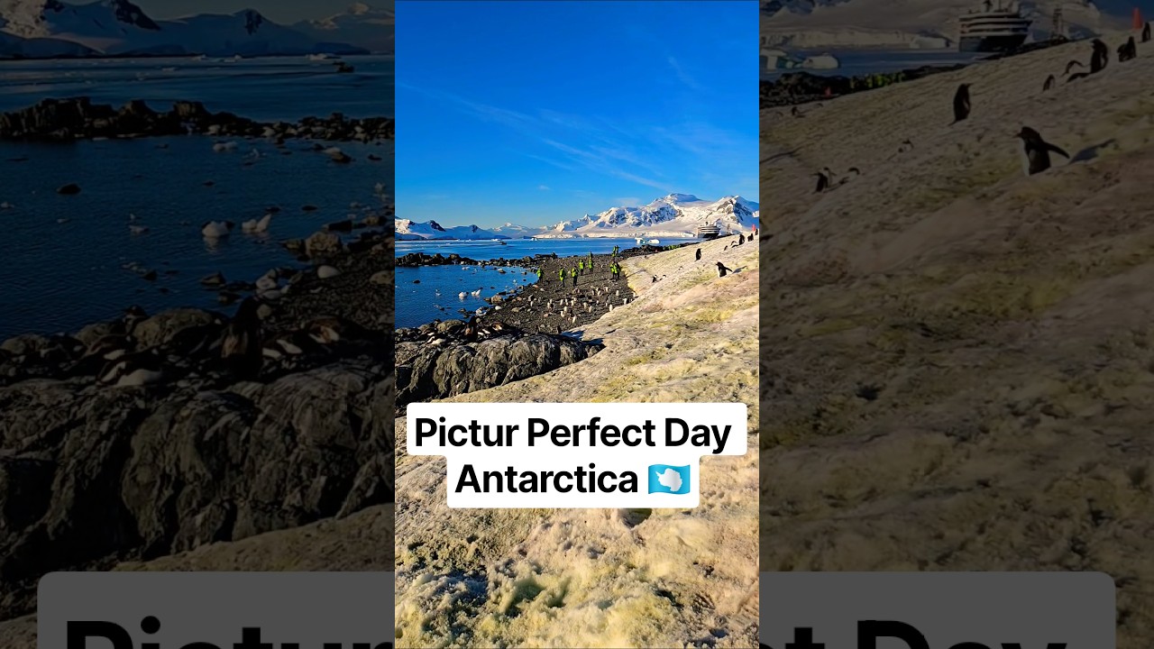 Picture Perfect Day in Antarctica #antarctica #adventure #cruise #antarcticaexploration #atlas #ice
