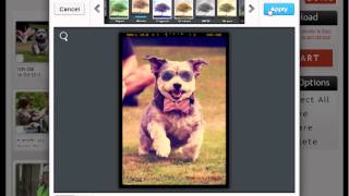 Easy Photo Suite Tutorial screenshot 5