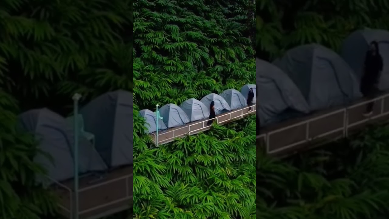 jawan song teaser leak /Shah rukh Khan/arijit singh song