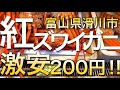 日本一安い⁉︎紅ズワイガニが200円で買える奇跡のスーパーを発見！！調査してきました。